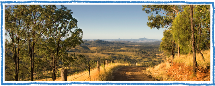 great tropical drive